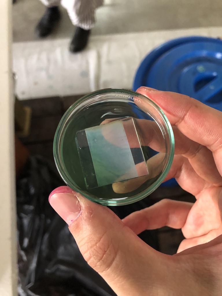 TiO2 electrode soaked in indigo dye liquid
