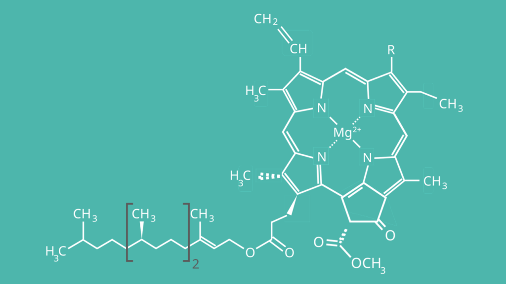 DSSC Bild 4 Chlorophyll A Struktur 1024x576