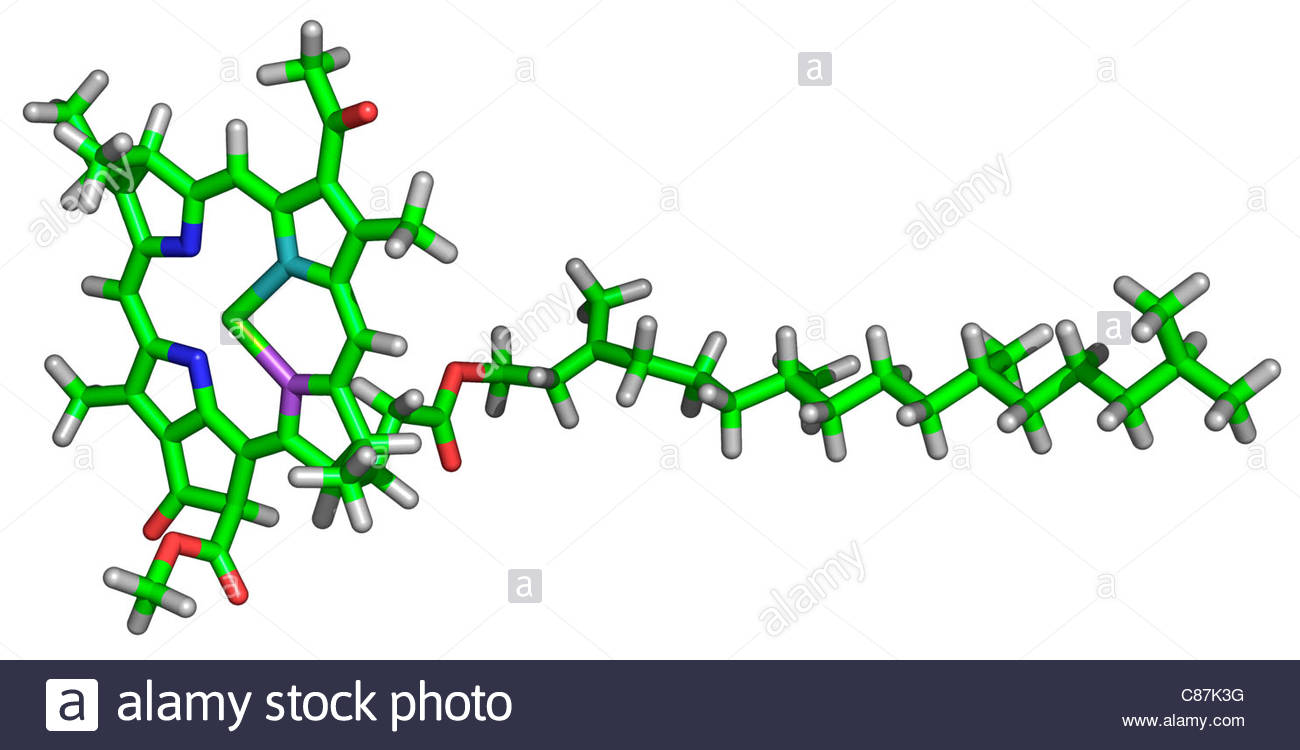 DSSC Chlorophyll Molekul C87k3g